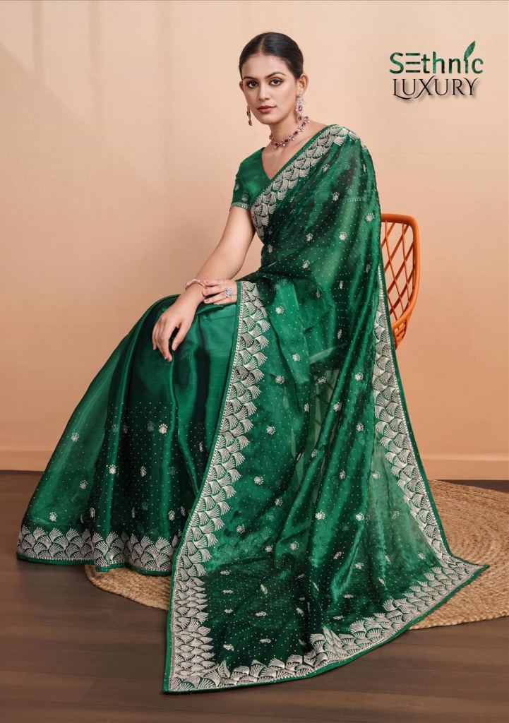 Sethnic Glint Gala Saree